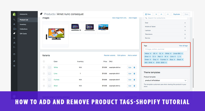 How to add and remove Product tags-Shopify Tutorials