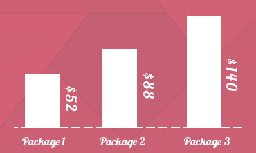 Preferential Price Packages for Shopify Theme