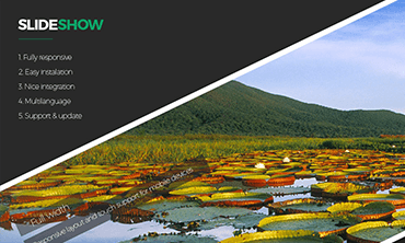 Ap SlideShow Prestashop Module
