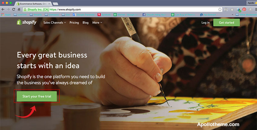 shopify-theme