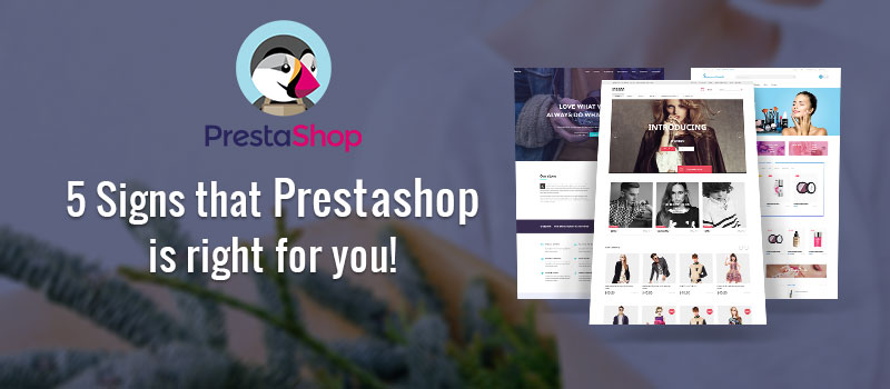 prestashop theme