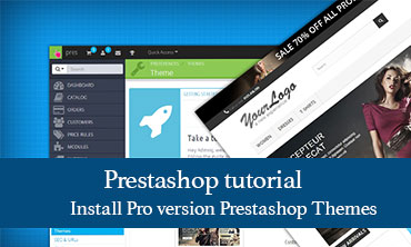 Install Pro version Prestashop Themes by Apollotheme