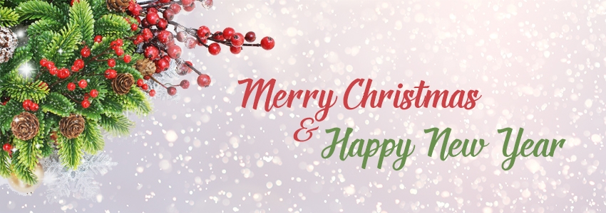 merry-christmas-discount