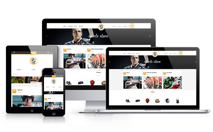 free shopify theme