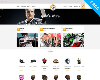 free Shopify Themes