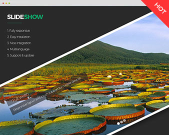 slideshow-module