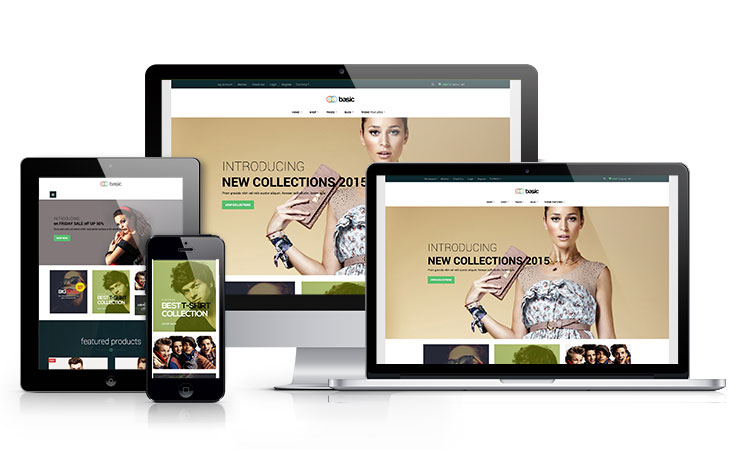 ap-basic-responsive-shopify