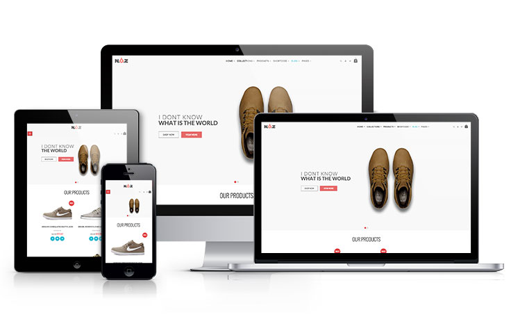 Shopify theme
