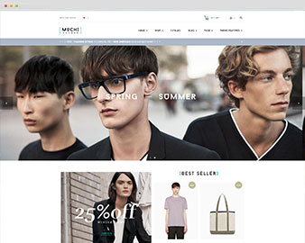 preview shopify theme