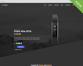 shopify theme