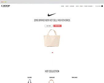 Shopify Theme
