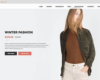 ap landing fashion shopify theme