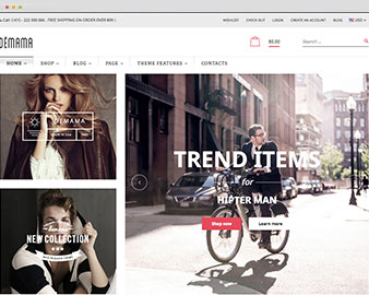 shopify theme fashion