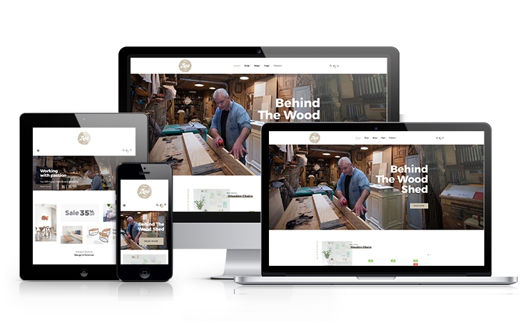 ap-zigg-shopify-theme