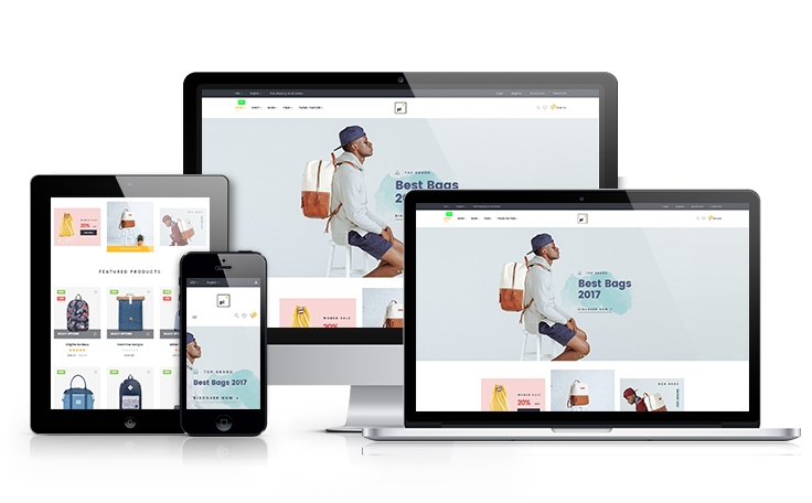 ap-pi-bags-shopify-theme