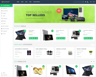 ap-bicmart-shopify-theme